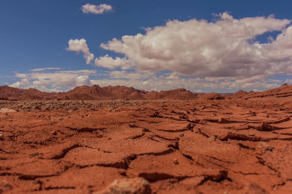 Medidas de asistencia para productores afectados por clima&nbsp;adverso