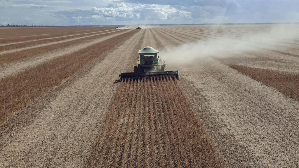 El puerto rosarino recupera su posicion como lider mundial en agroexportaciones