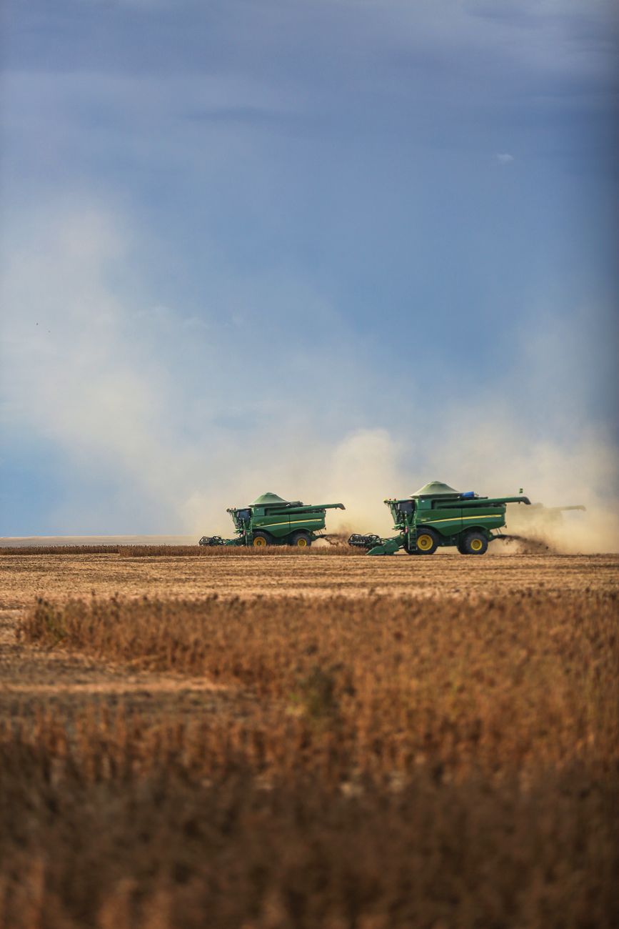 Molinos Agro triplicó ganancias: cosecha record y politica&nbsp;favorable