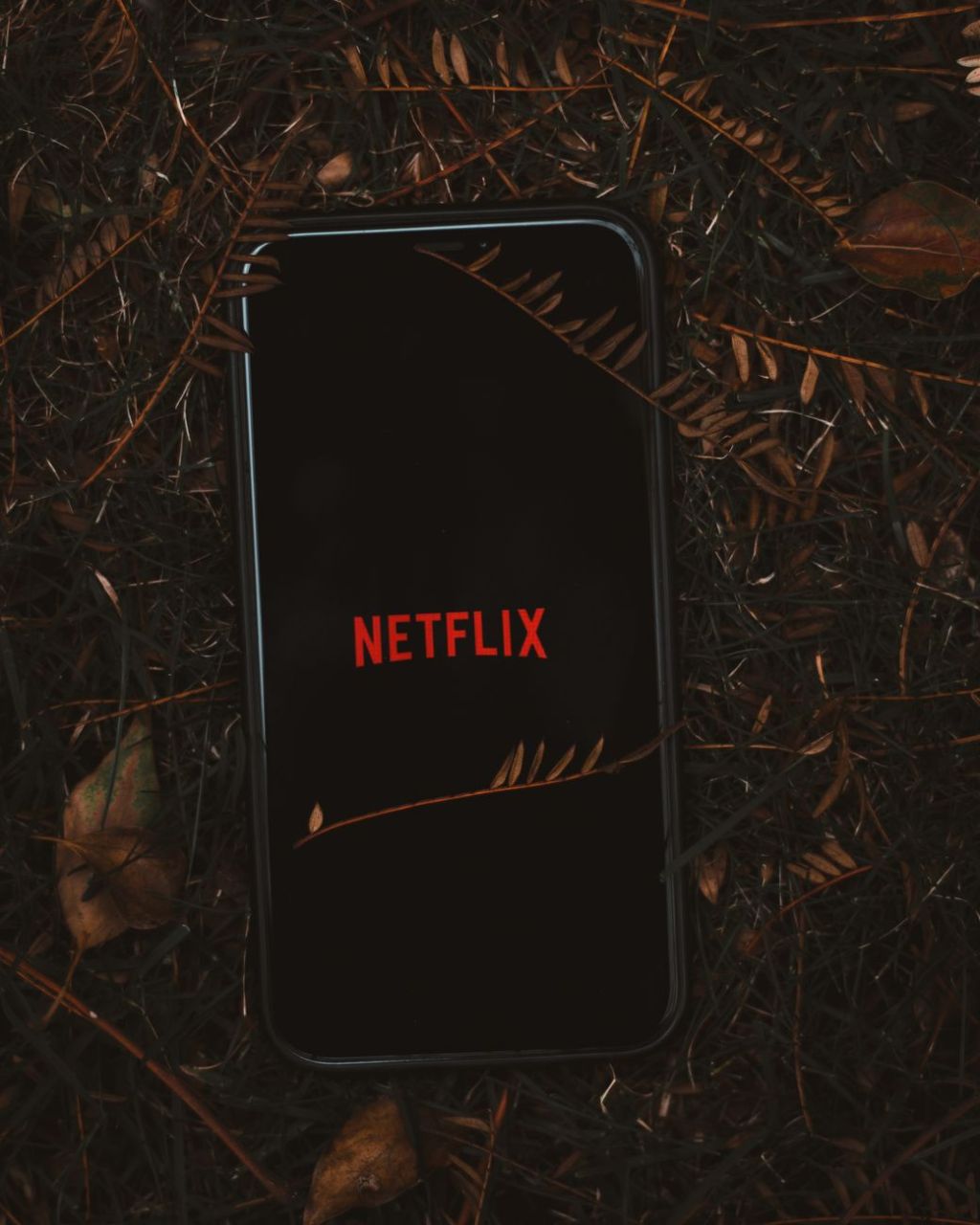 «Mi brillante carrera» llega a Netflix en agosto: la miniserie basada en&nbsp;clásico
