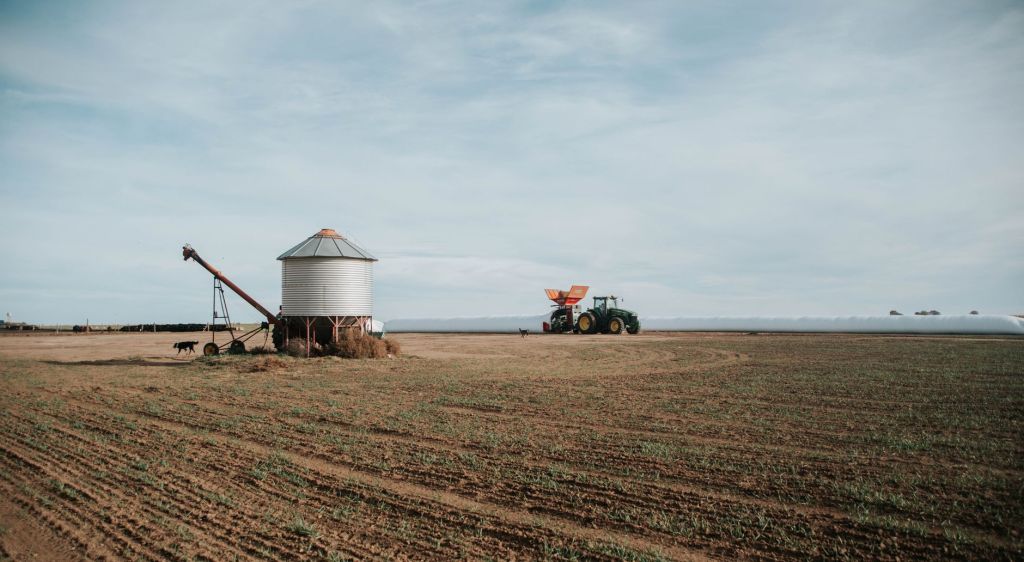 Exportaciones agropecuarias: expansión de 128% posiciona al campo como&nbsp;estrella