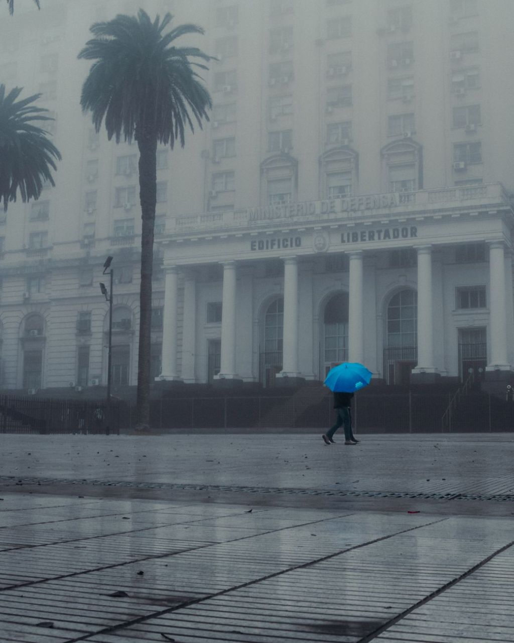 La semana que viene en Buenos Aires: frío moderado y regreso del buen tiempo