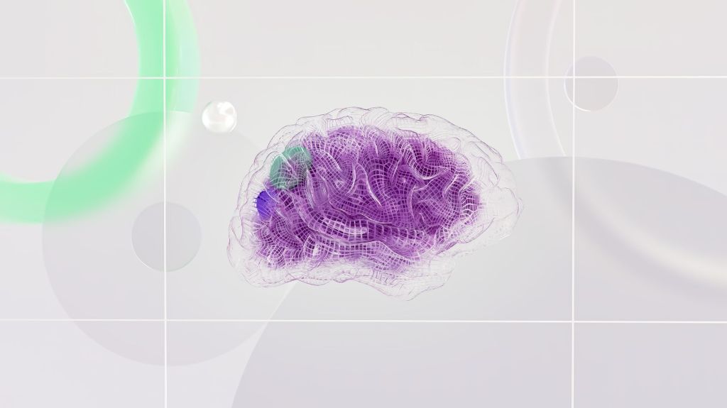 Científicos logran reconstruir imágenes que el cerebro procesa sin que nos demos&nbsp;cuenta