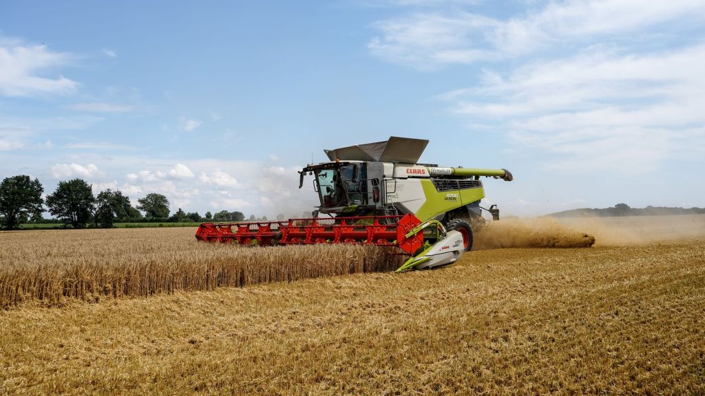 Un cultivo secundario se posiciona como protagonista en las exportaciones